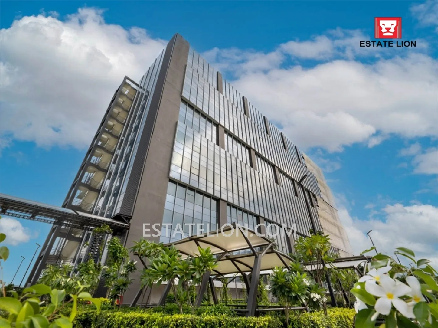 Stellar OKAS 1425, Noida (Sector 142) — photograph 3